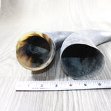 2 Raw Unfinished Cow Horns #6752 Natural Colored