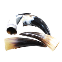 4 Small Polished Cow Horns #6752 Natural colored