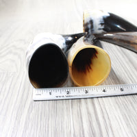 4 Small Polished Cow Horns #6752 Natural colored