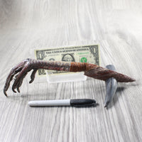 Turkey Foot Handle Stone Blade Ornamental Knife #1752 Mountain Man Knife