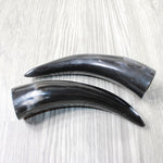 2 Small Polished Cow Horns #9852 Natural colored