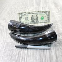 2 Small Polished Cow Horns #9852 Natural colored