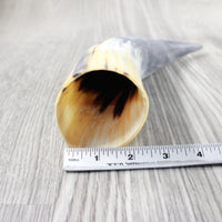 1 Raw Unfinished Cow Horn #1052 Natural Colored