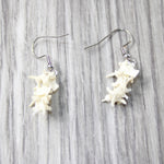 Rattlesnake Vertebrae  Earrings  #4952  Mountain Man Earrings