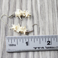 Rattlesnake Vertebrae  Earrings  #4952  Mountain Man Earrings