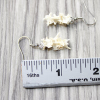 Rattlesnake Vertebrae  Earrings  #4952  Mountain Man Earrings
