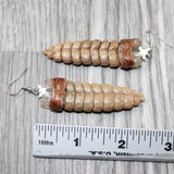 Very Large Rattlesnake Rattle Earrings  #4461  Mountain Man Earrings