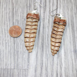 Very Large Rattlesnake Rattle Earrings  #4461  Mountain Man Earrings