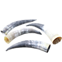 4 Raw Unfinished Cow Horns #3552 Natural Colored