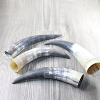 4 Raw Unfinished Cow Horns #3552 Natural Colored
