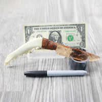 Coyote Jaw Handle Glass Blade Ornamental Knife #1752 Mountain Man Knife