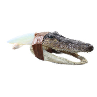 Alligator Head Handle Opalite Blade Ornamental Knife #7153 Mountain Man Knife