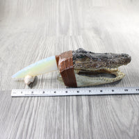 Alligator Head Handle Opalite Blade Ornamental Knife #7153 Mountain Man Knife