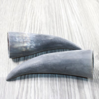 2 Small Raw Unfinished Cow Horns #6153 Natural Colored