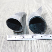 2 Small Raw Unfinished Cow Horns #6153 Natural Colored