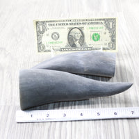 2 Small Raw Unfinished Cow Horns #6153 Natural Colored