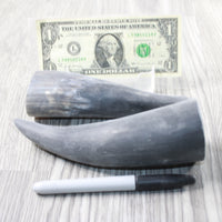 2 Small Raw Unfinished Cow Horns #6153 Natural Colored