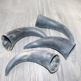4 Raw Unfinished Cow Horns #7161     Natural Colored
