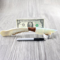 Deer Jaw Handle Opalite Blade Ornamental Knife #1553 Mountain Man Knife