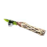 Cholla Cactus Wood Handle Glass Blade Ornamental Knife #3553 Mountain Man Knife
