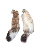 Bobcat Tail Earrings  #6661  Mountain Man Earrings