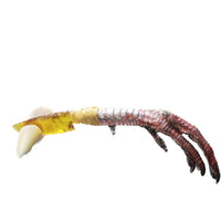 Turkey Foot Handle Glass Blade Ornamental Knife #1553 Mountain Man Knife