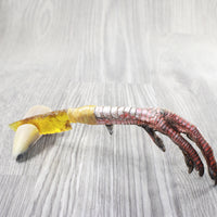 Turkey Foot Handle Glass Blade Ornamental Knife #1553 Mountain Man Knife