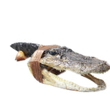 Alligator Head Handle Obsidian Blade Ornamental Knife #7553 Mountain Man Knife
