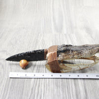 Alligator Head Handle Obsidian Blade Ornamental Knife #7553 Mountain Man Knife