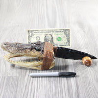 Alligator Head Handle Obsidian Blade Ornamental Knife #7553 Mountain Man Knife