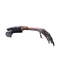 Turkey Foot Handle Obsidian Blade Ornamental Knife #9553 Mountain Man Knife