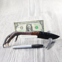 Turkey Foot Handle Obsidian Blade Ornamental Knife #9553 Mountain Man Knife