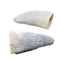 2 Raw Unfinished Cow Horn Tips #1853 Natural Colored