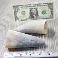2 Raw Unfinished Cow Horn Tips #1853 Natural Colored