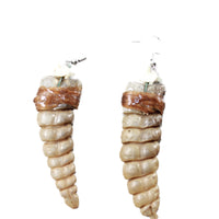 Very Large Rattlesnake Rattle Earrings  #4253  Mountain Man Earrings