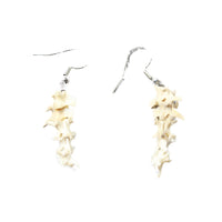 Rattlesnake Vertebrae  Earrings  #6253  Mountain Man Earrings