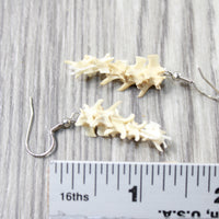 Rattlesnake Vertebrae  Earrings  #6253  Mountain Man Earrings