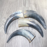 4 Raw Unfinished Cow Horns #0262     Natural Colored