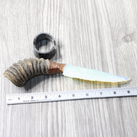 Springbok Horn Handle Opalite Blade Ornamental Knife #6053 Mountain Man Knife