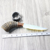 Springbok Horn Handle Opalite Blade Ornamental Knife #6053 Mountain Man Knife