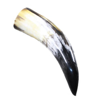 1 Polished Cow Horn #2553 Natural Colored
