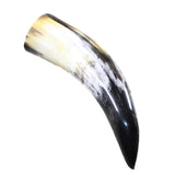 1 Polished Cow Horn #2553 Natural Colored