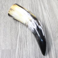 1 Polished Cow Horn #2553 Natural Colored