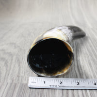 1 Polished Cow Horn #2553 Natural Colored
