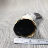 1 Polished Cow Horn #2553 Natural Colored