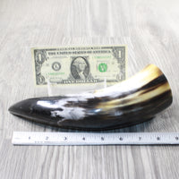 1 Polished Cow Horn #2553 Natural Colored