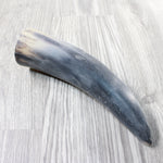 1 Raw Unfinished Cow Horn #4653 Natural Colored