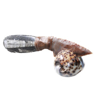 Orthoceras Fossil Handle Stone Blade Ornamental Knife #04653 Mountain Man Knife z