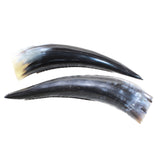 2 Polished Cow Horns #4653 Natural colored