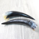 2 Polished Cow Horns #4653 Natural colored
